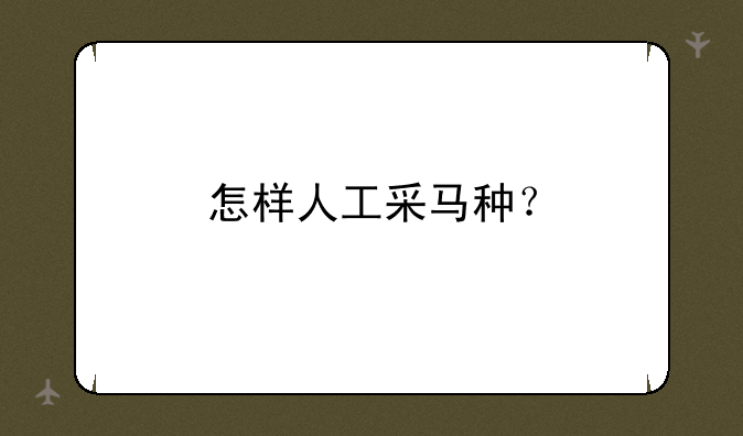 怎样人工采马种？