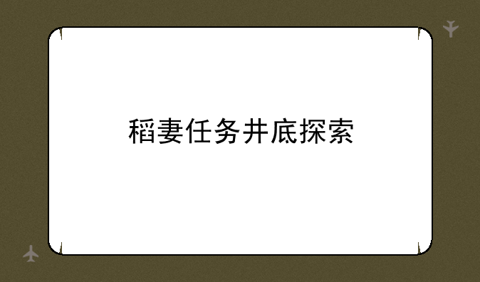 稻妻任务井底探索