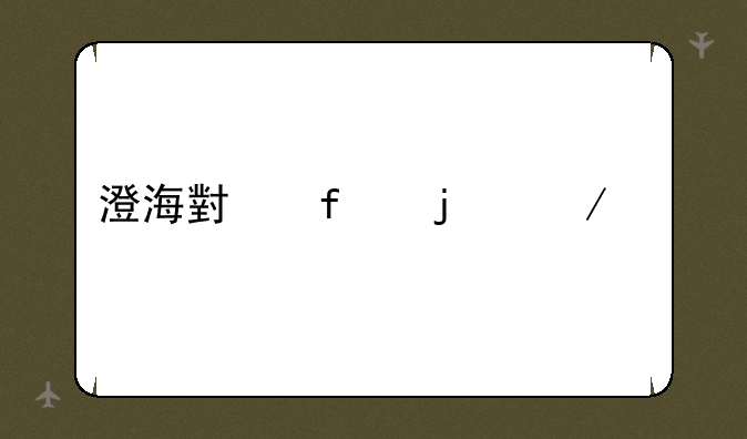 澄海小智的介绍