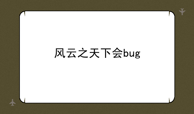 风云之天下会bug