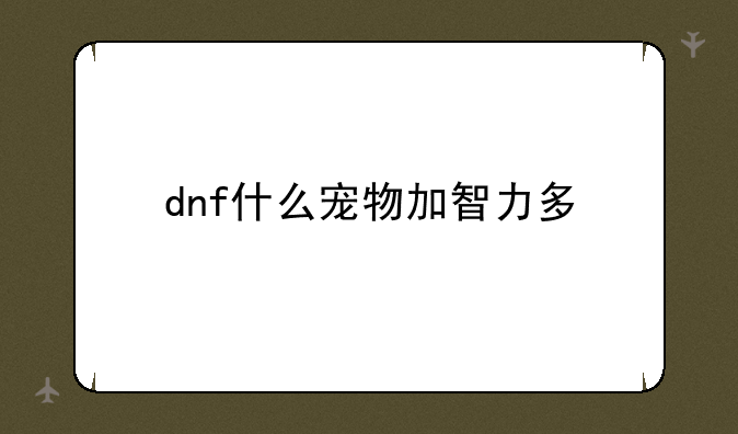 dnf什么宠物加智力多