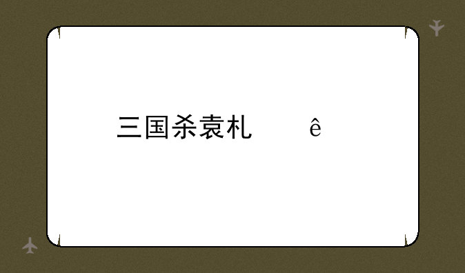 三国杀袁术庸肆解释
