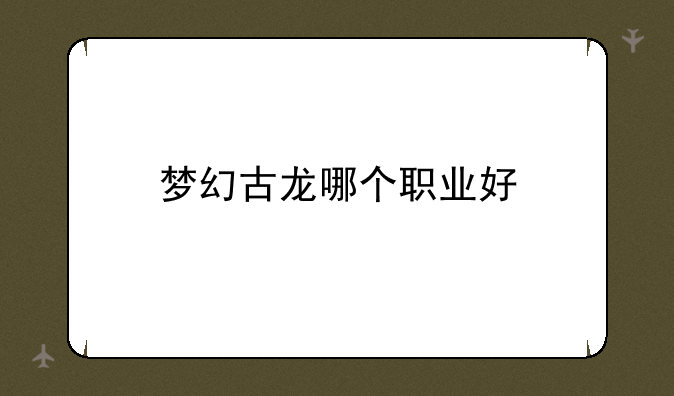 梦幻古龙哪个职业好