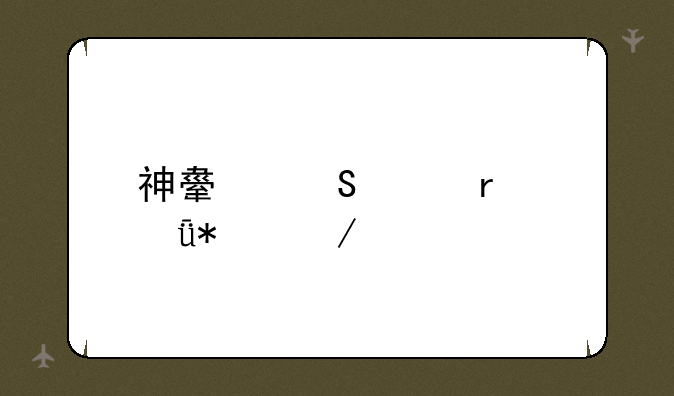 神舟笔记本驱动下载