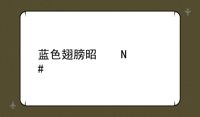 蓝色翅膀是哪个先祖