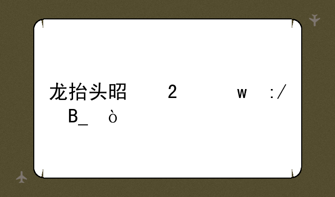 龙抬头是指帝王吗？