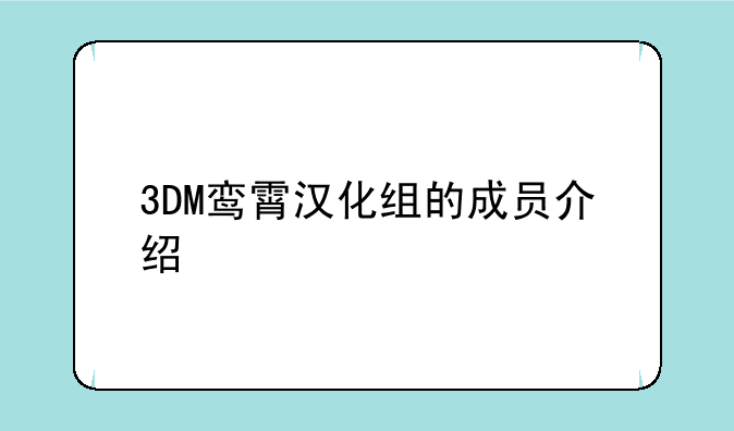 3DM鸾霄汉化组的成员介绍