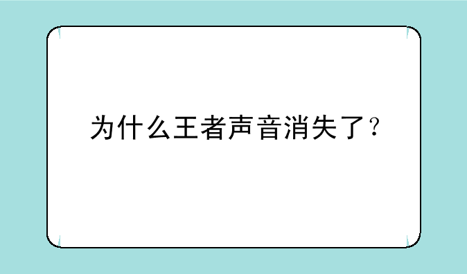 为什么王者声音消失了？