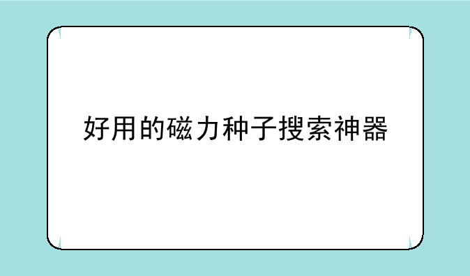 好用的磁力种子搜索神器