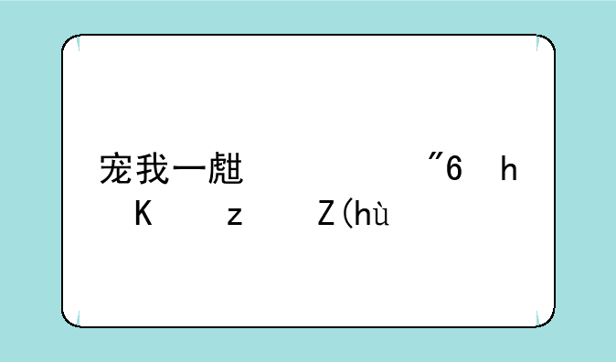 宠我一生游戏怎么穿衣服