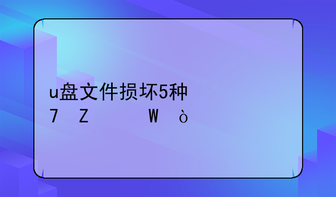 u盘文件损坏5种修复方法？