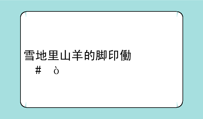 雪地里山羊的脚印像什么？