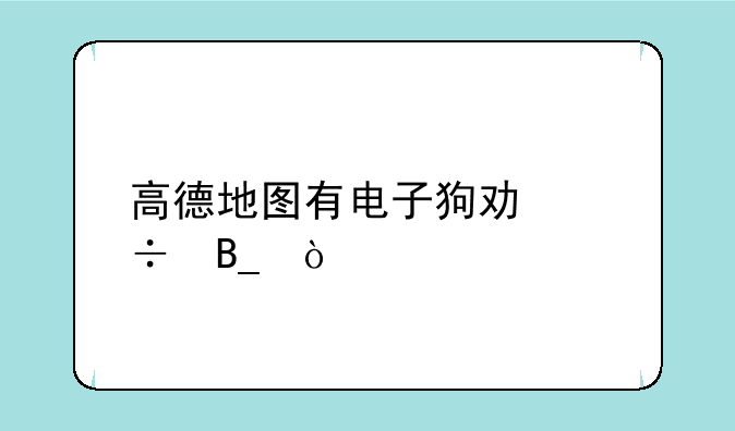 高德地图有电子狗功能吗？