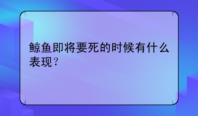 鲸鱼即将要死的时候有什么表现？