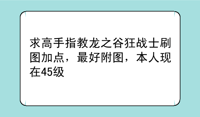 求高手指教龙之谷狂战士刷图加点，最好附图，本人现在45级