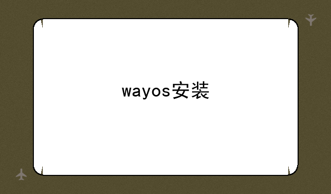 wayos安装