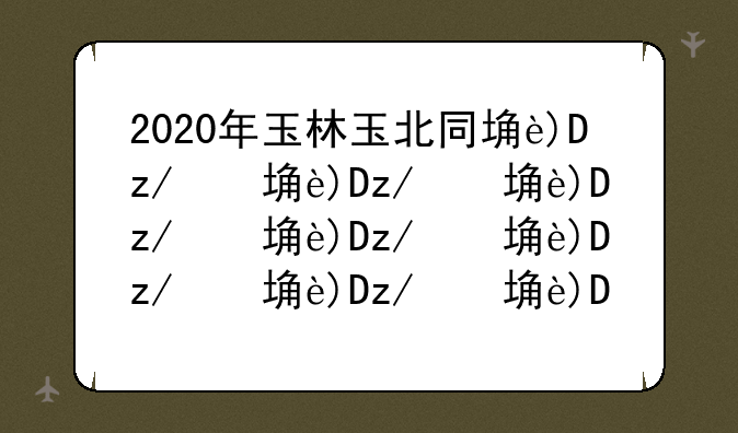 2020年玉林玉北同城大动作