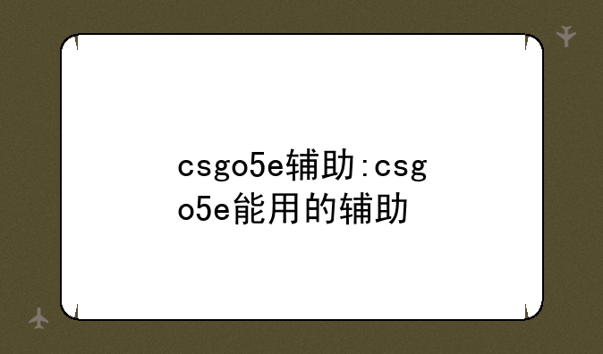 csgo5e辅助:csgo5e能用的辅助