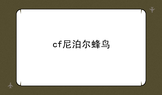 cf尼泊尔蜂鸟