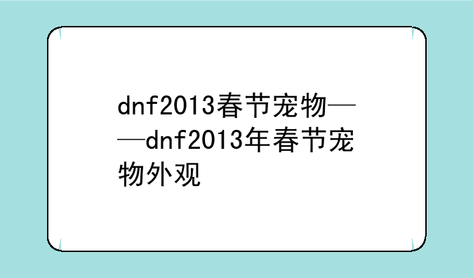 dnf2013春节宠物——dnf2013年春节宠物外观