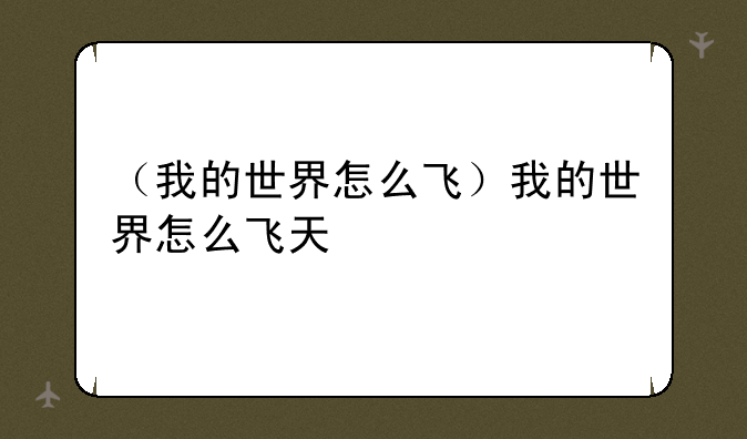 （我的世界怎么飞）我的世界怎么飞天