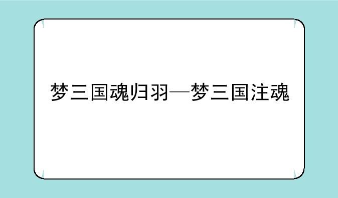 梦三国魂归羽—梦三国注魂