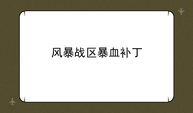 风暴战区暴血补丁