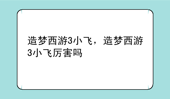 造梦西游3小飞，造梦西游3小飞厉害吗